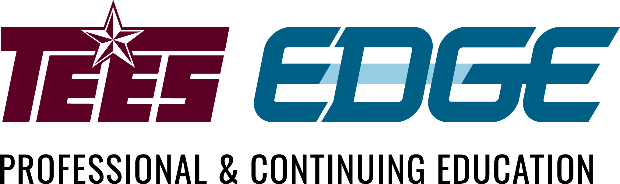 TEES EDGE Professional & Continuing Education logo